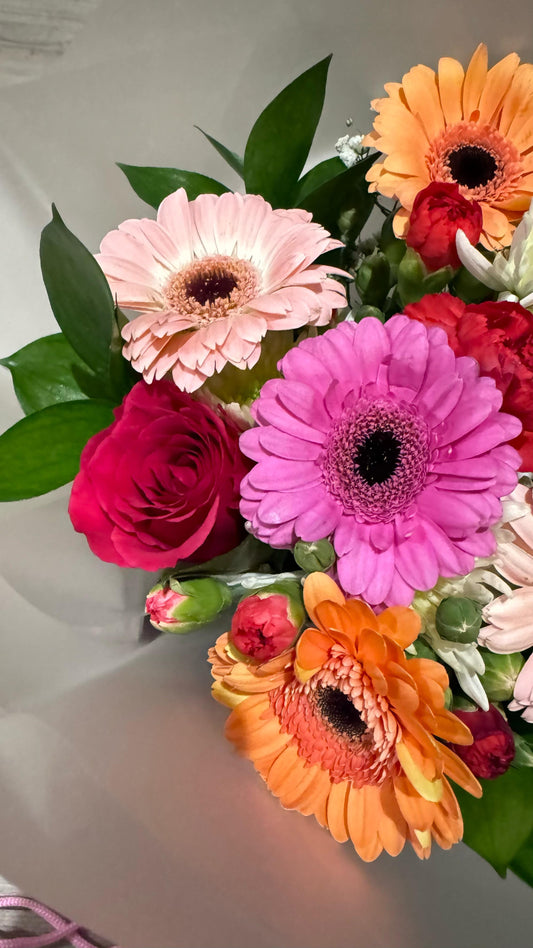 JUST GERBERAS